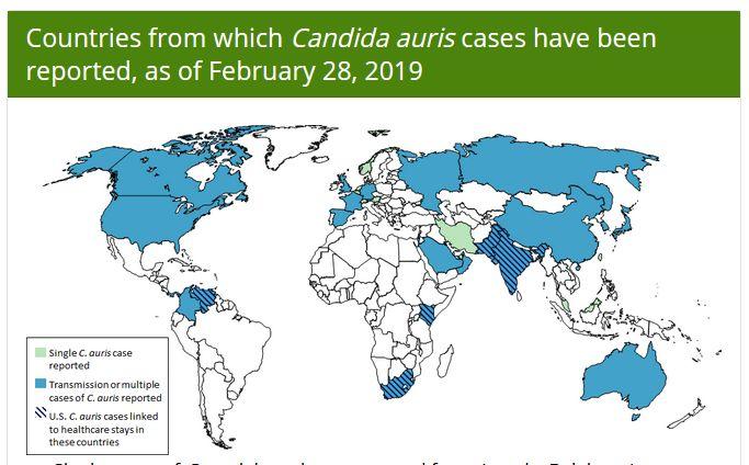 中国确诊18例超级真菌感染，生化危机真的来了？别瞎说！